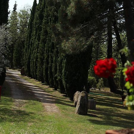 Villa L'Antica Pala à Bucine Extérieur photo