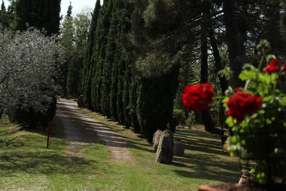 Villa L'Antica Pala à Bucine Extérieur photo